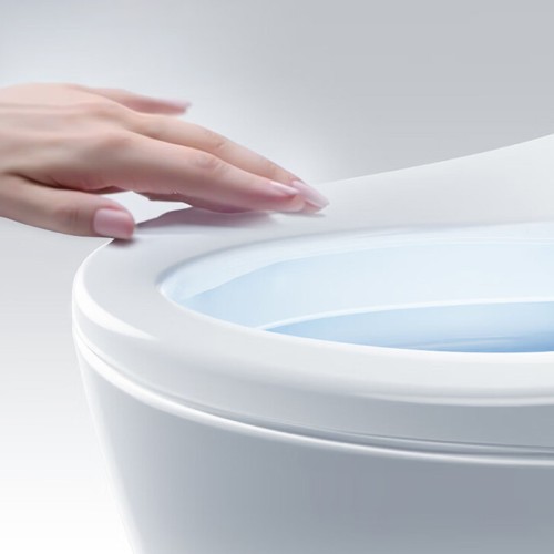 Asiento de Inodoro con Bidé No Eléctrico