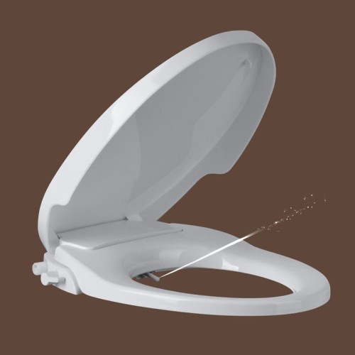 Asiento de Inodoro con Bidé No Eléctrico