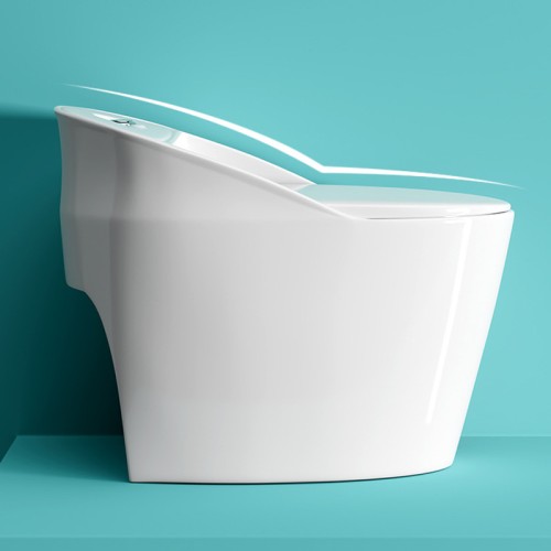 Fábrica de Inodoros Monobloque Sin Borde Contemporáneos 
