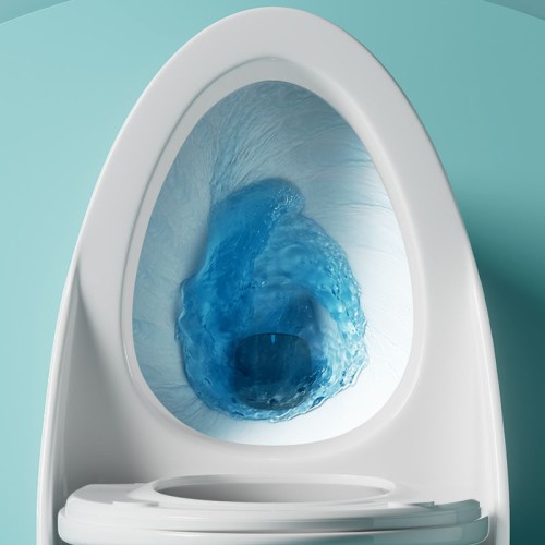 Fábrica de Inodoros Monobloque Sin Borde Contemporáneos