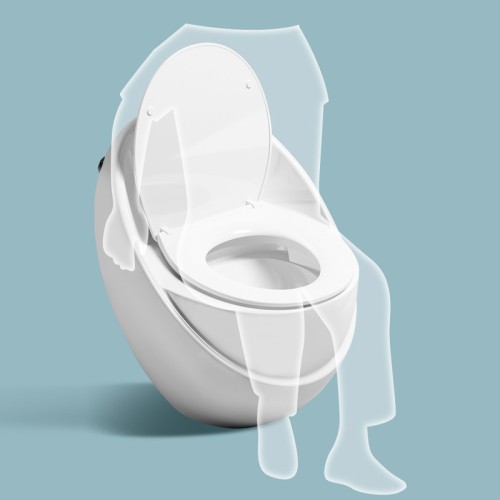 Inodoro Ergonómico con Faldón de Altura ADA