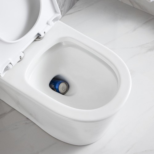 Inodoro con Sifón Grande Totalmente Esmaltado