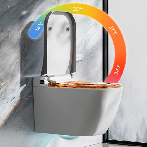 Inodoro de Pared con Tanque Oculto