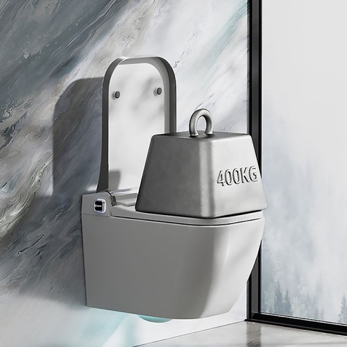 Inodoro de Pared con Tanque Oculto
