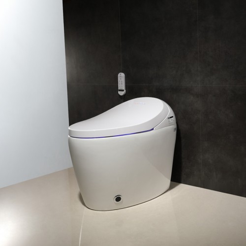 Inodoro Inteligente de Diseño de Lujo para Hoteles