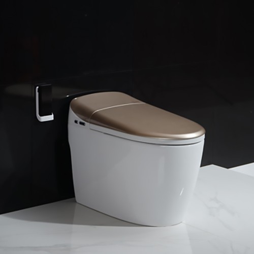 Inodoro Watermark para Baño con Válvula de Doble Descarga 