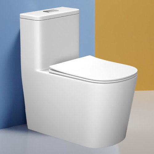 Inodoros Compactos de Una Pieza