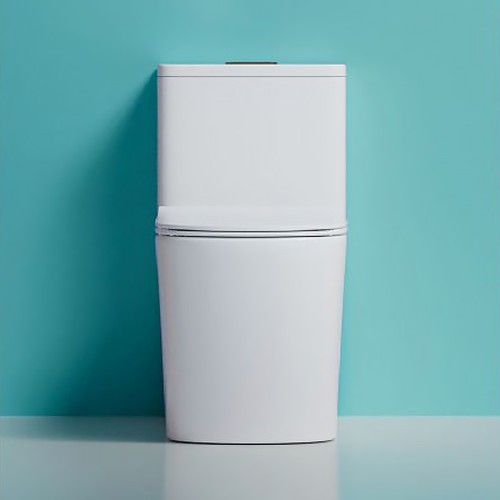 Inodoros Compactos de Una Pieza