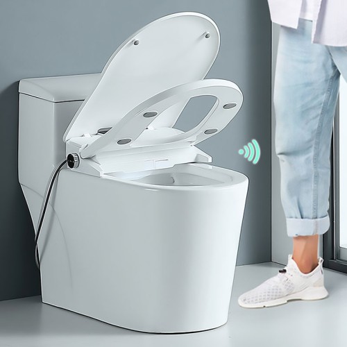 Asiento de Inodoro Redondo con Bidé y Secador 