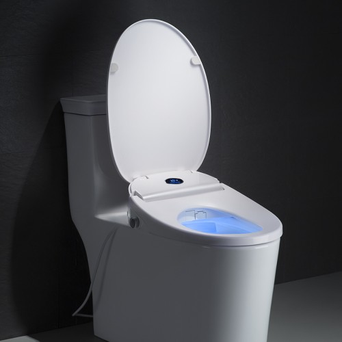 Best Budget Bidet Attachment With Dryer