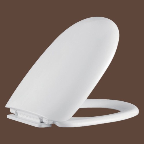 Non Electric Bidet Toilet Seat
