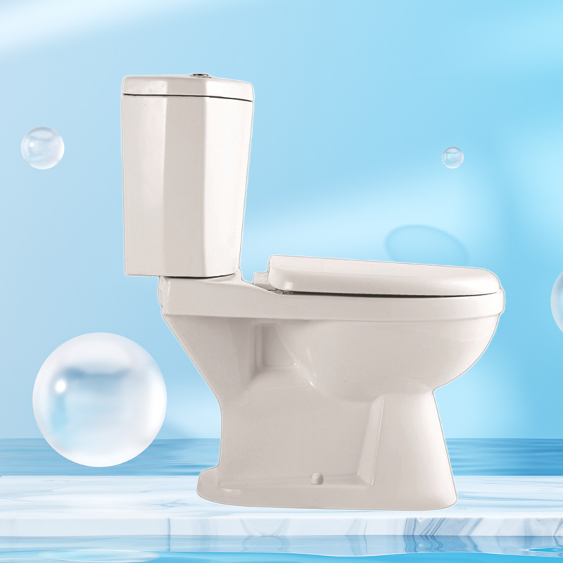 Backflow Toilet Floor Mount Rear Outlet Toilet Jabra Sanitary