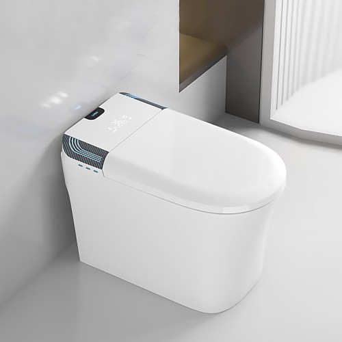 A closer look at Zero-Water Toilets