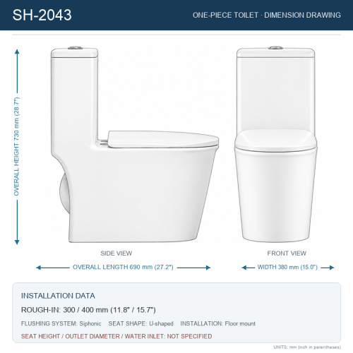 10 Inch Rough in Dual Flush Toilet