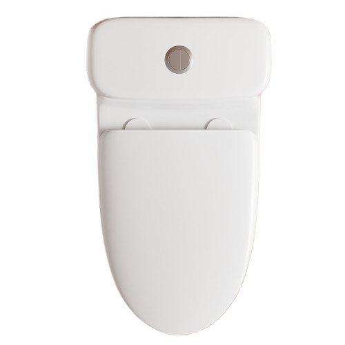 European Water Closet S and P Trap