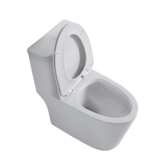 Contemporary Back to Wall Floor Mounted Toilet