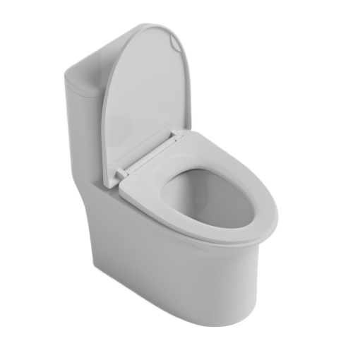 Double Vortex Flush Toilet Bowl