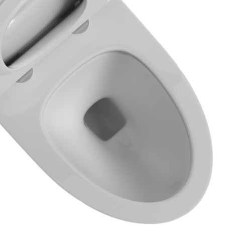 Double Vortex Flush Toilet Bowl