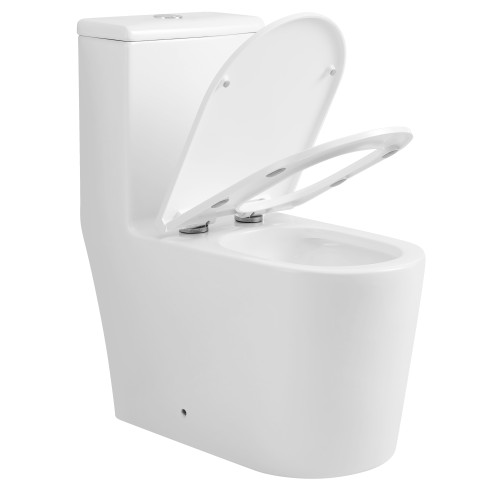 2 in 1 Sit Squat Hybrid Toilet