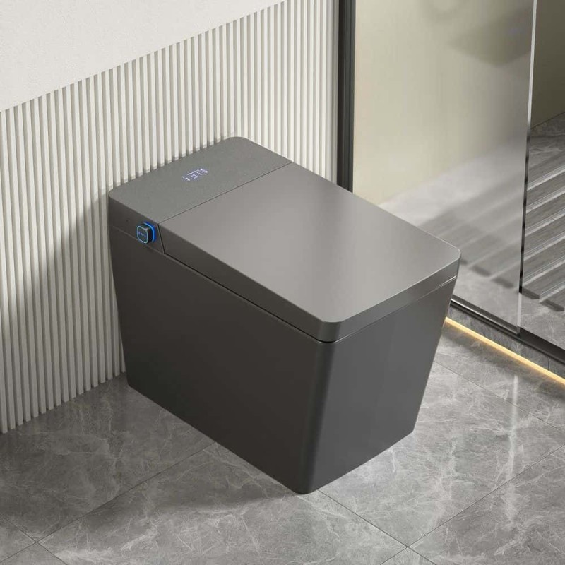 Intelligent Toilet with Automatic Cover Jabra Sanitary