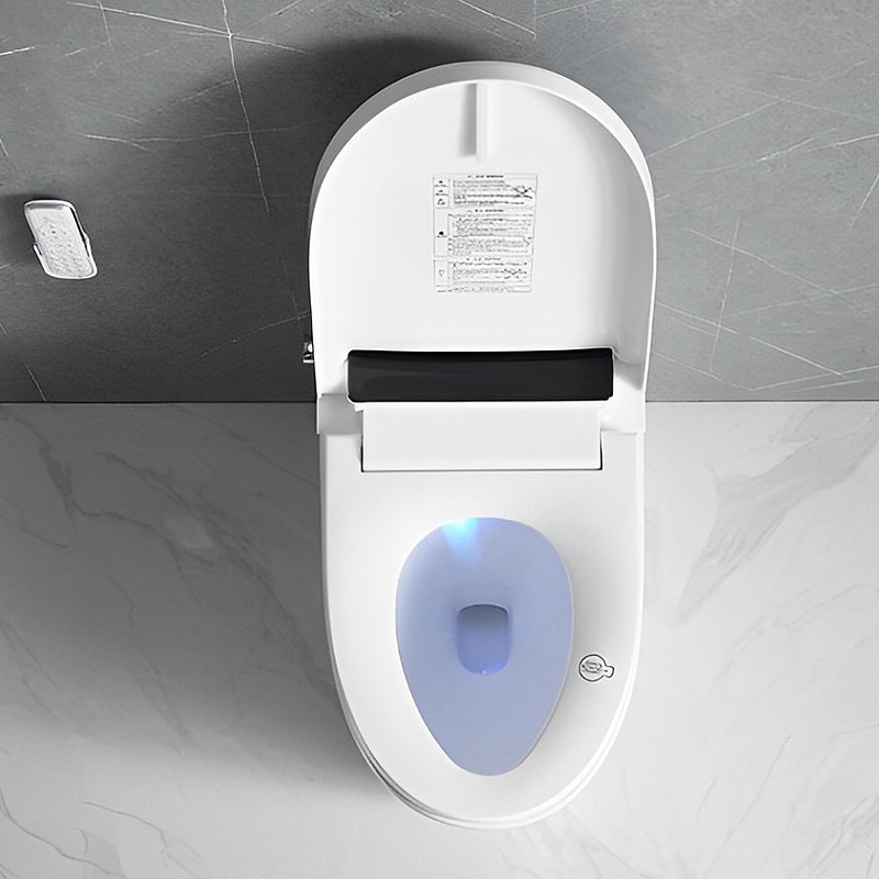 Advanced Toilet Toilet with Builtin Bidet Jabra Sanitary
