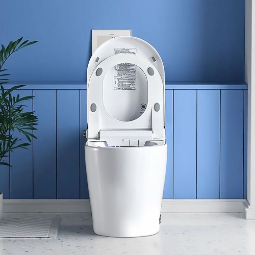 One Piece 10 Inch Rough in Toilet