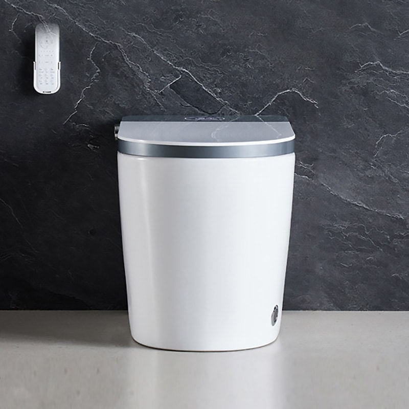 Automatic Flushing Toilet for Home | Top Toilet Manufacturer - Senhang ...