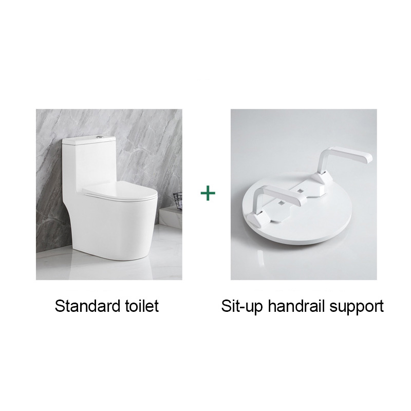 Ada Grab Bar Toilet