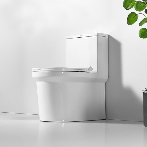 Modern Dual Flush Round Toilet