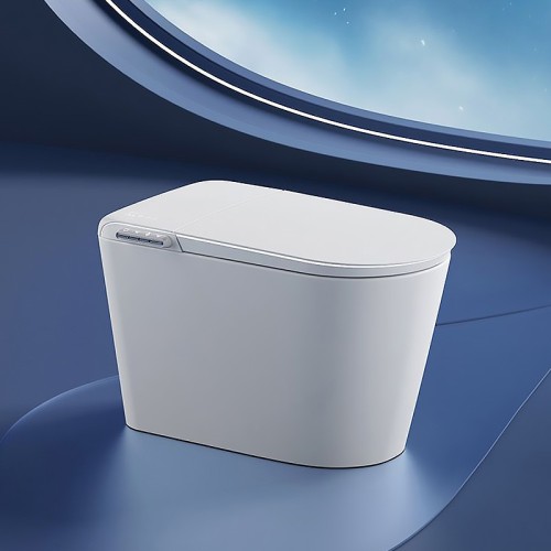 Comfort Height Rimless Close Coupled Toilet Commode & Back to Wall Hung WC