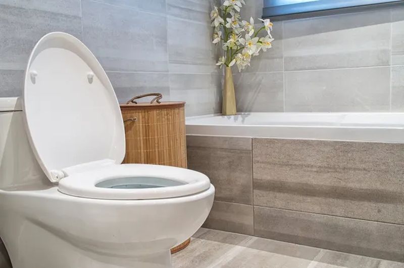 low flow toilets