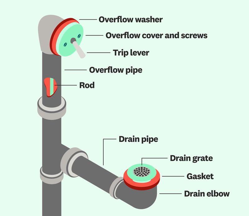 bathtub drain anatomy